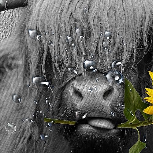 Miniatura 6 de Divertida cortina de ducha de vaca de las tierras altas para baño, cortinas de ducha rústicas de ganado y vida silvestre, girasoles amarillos,