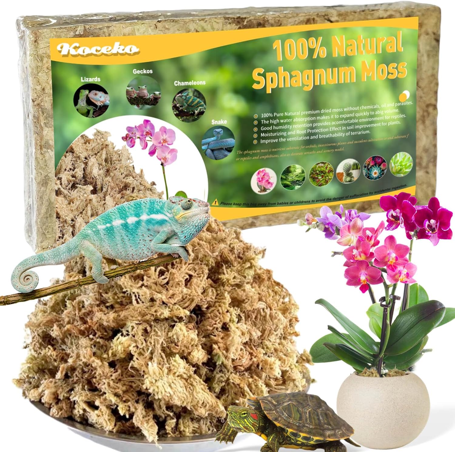Image showcasing Amazon.com : Koceko Natural Sphagnum Moss for Plants - Orchid Potting ...