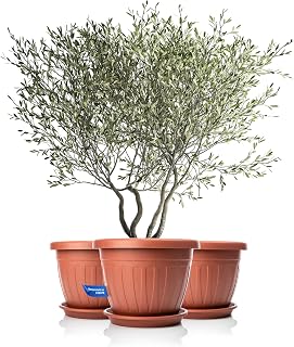 BigDean 3X Blumentopf mit Untersetzer rund ø50xH38