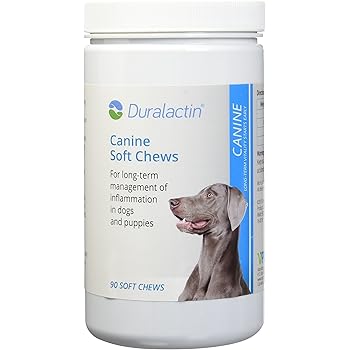 duralactin soft chews