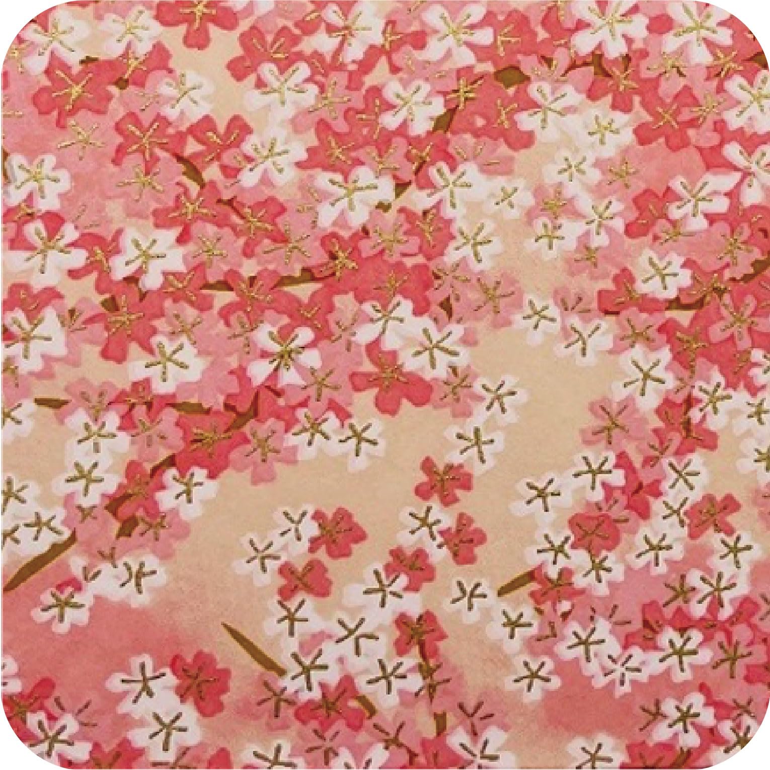 Amazon.co.jp: 季の美 KINOBI 京都ドライジン 45度 4種のコースター付