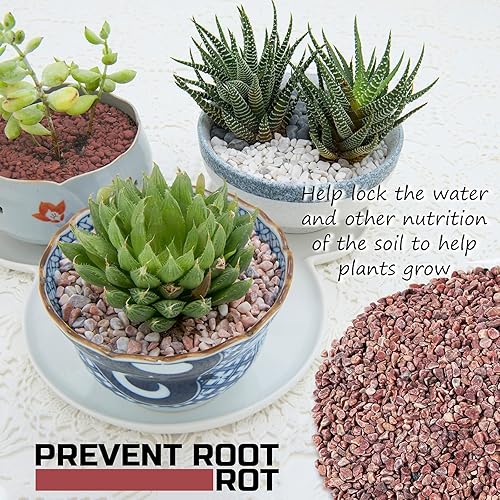 Miniatura 51 de Mezcla de bonsái de 2 libras, mezcla para macetas suculentas, rocas de lava, cactus, suelo, enmienda Onxy blanco