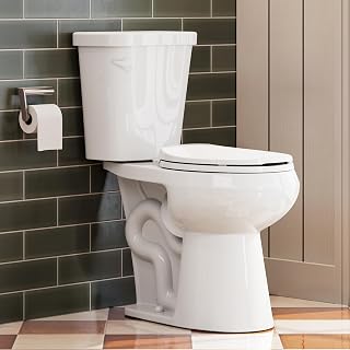 HOROW 17 Inch Tall Toilet, Two-Piece Round Toilet with ADA Comfort Chair Height Seat, Powerful 1.28 GPF Single Flush Bowl for Bathroom, 10" Rough In High for Seniors, White