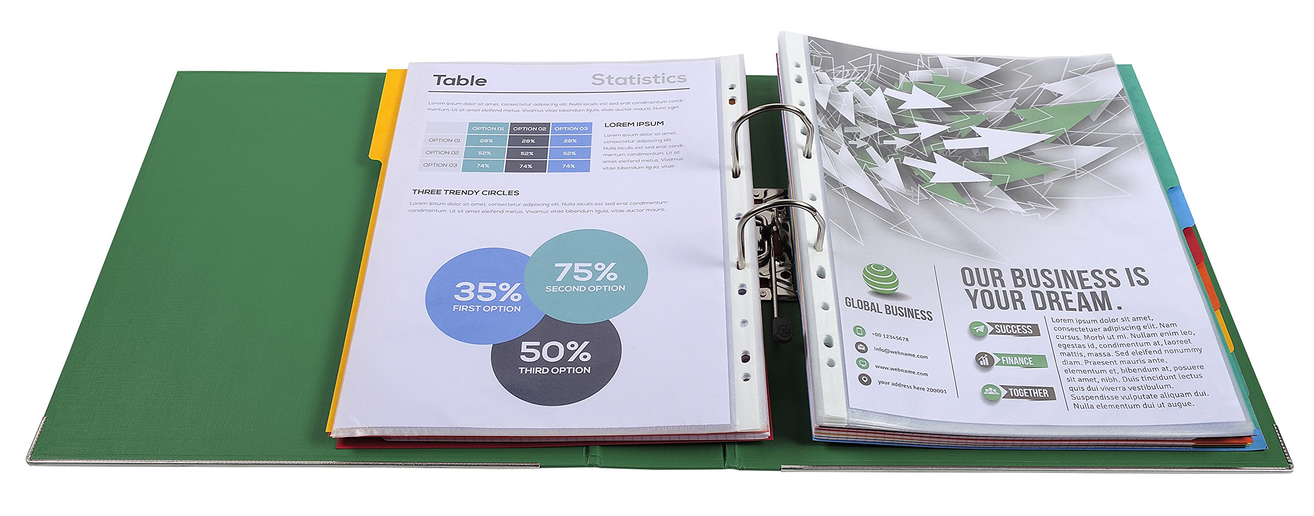 Exacompta - Réf. 53353E - Carton de 10 classeurs à levier A4 MAXI Prem'Touch - Dos 80 mm - Mécanique 80 mm - Dimensions extérieures : 32 x 30 x 8 cm - Format à classer A4 Maxi - Coloris : Vert foncé