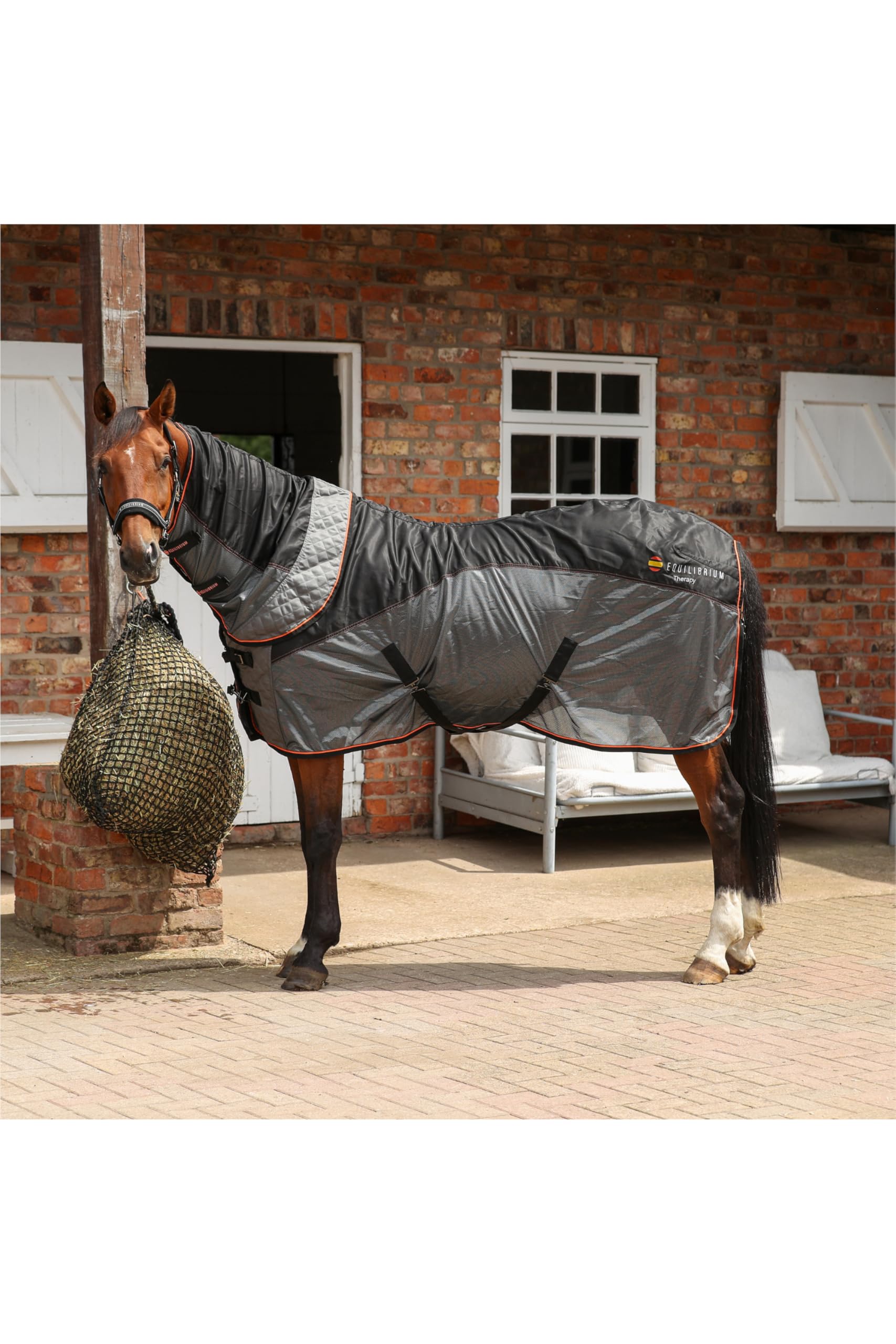 equilibrium Therapy Magnetic Rug (6'0)