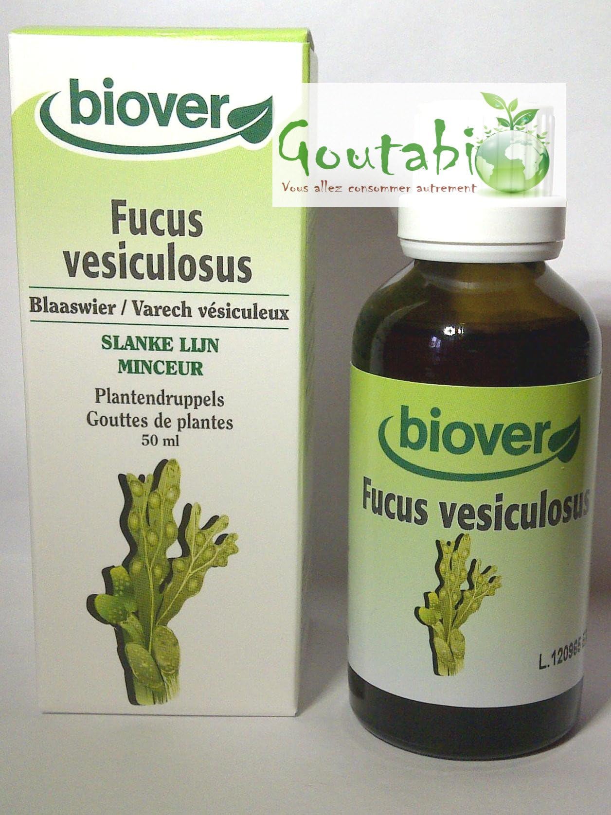 Biover - Organic Liquid Extract Fucus vesiculosus - 50 ml