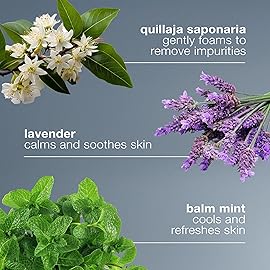 Dermalogica Special Cleansing Gel Refill - Gentle-Foaming Face Wash Gel for Women and Men - Leaves Skin Feeling Smooth And Clean