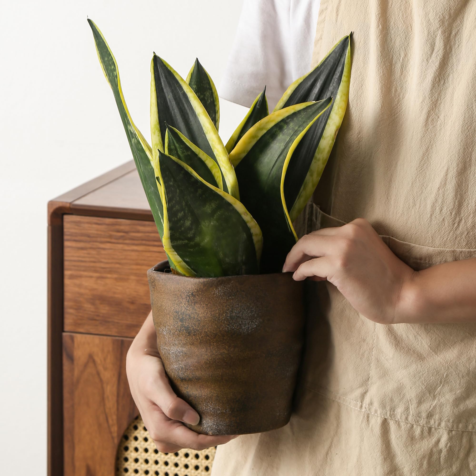Zestaw 2 doniczek ceramicznych z otworem drenażowym i spodkiem, do użytku wewnątrz i na zewnątrz, duża okrągła doniczka na sukulenty storczyk, farba cementowa, doniczki wewnętrzne nie