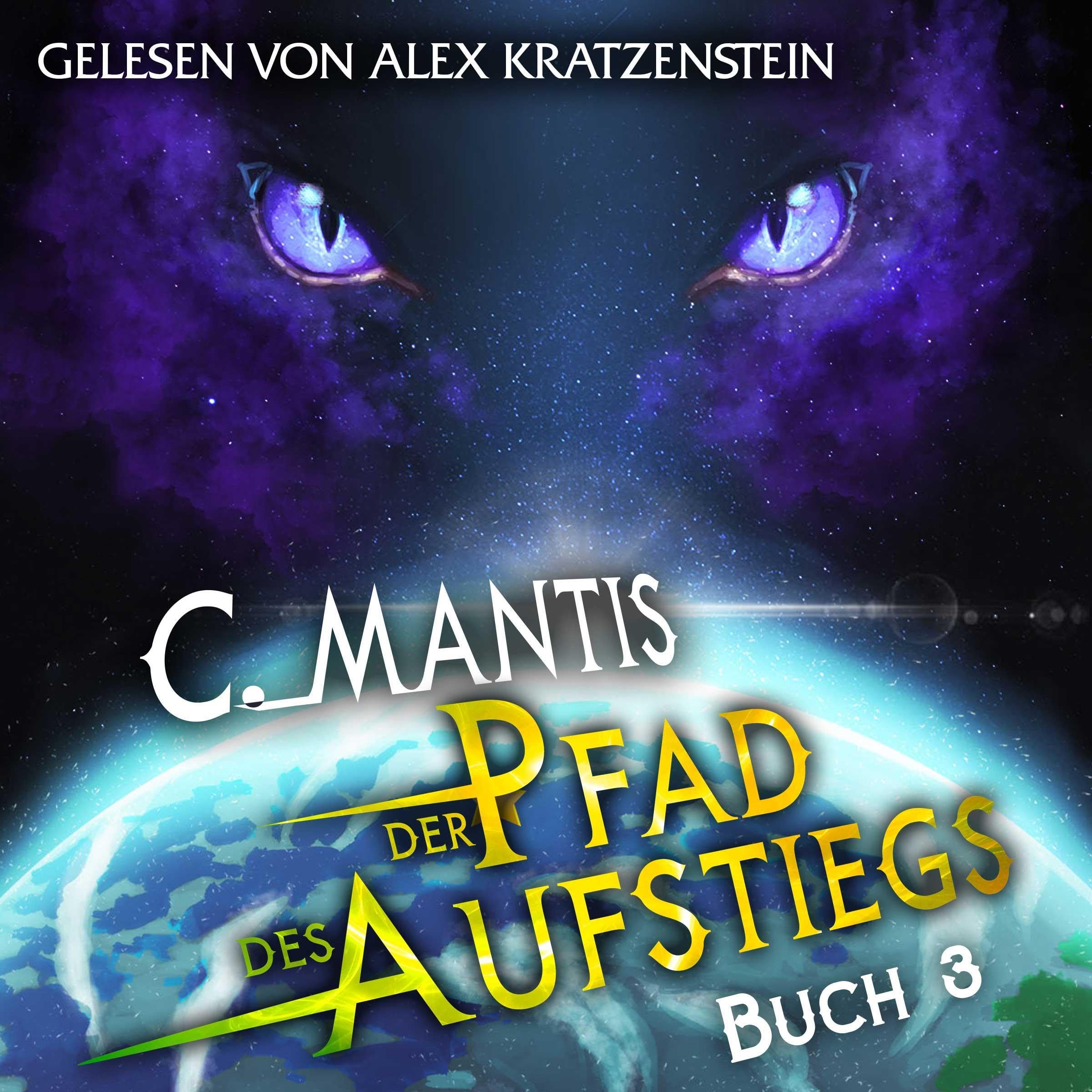 Cover art for Der Pfad des Aufstiegs 3