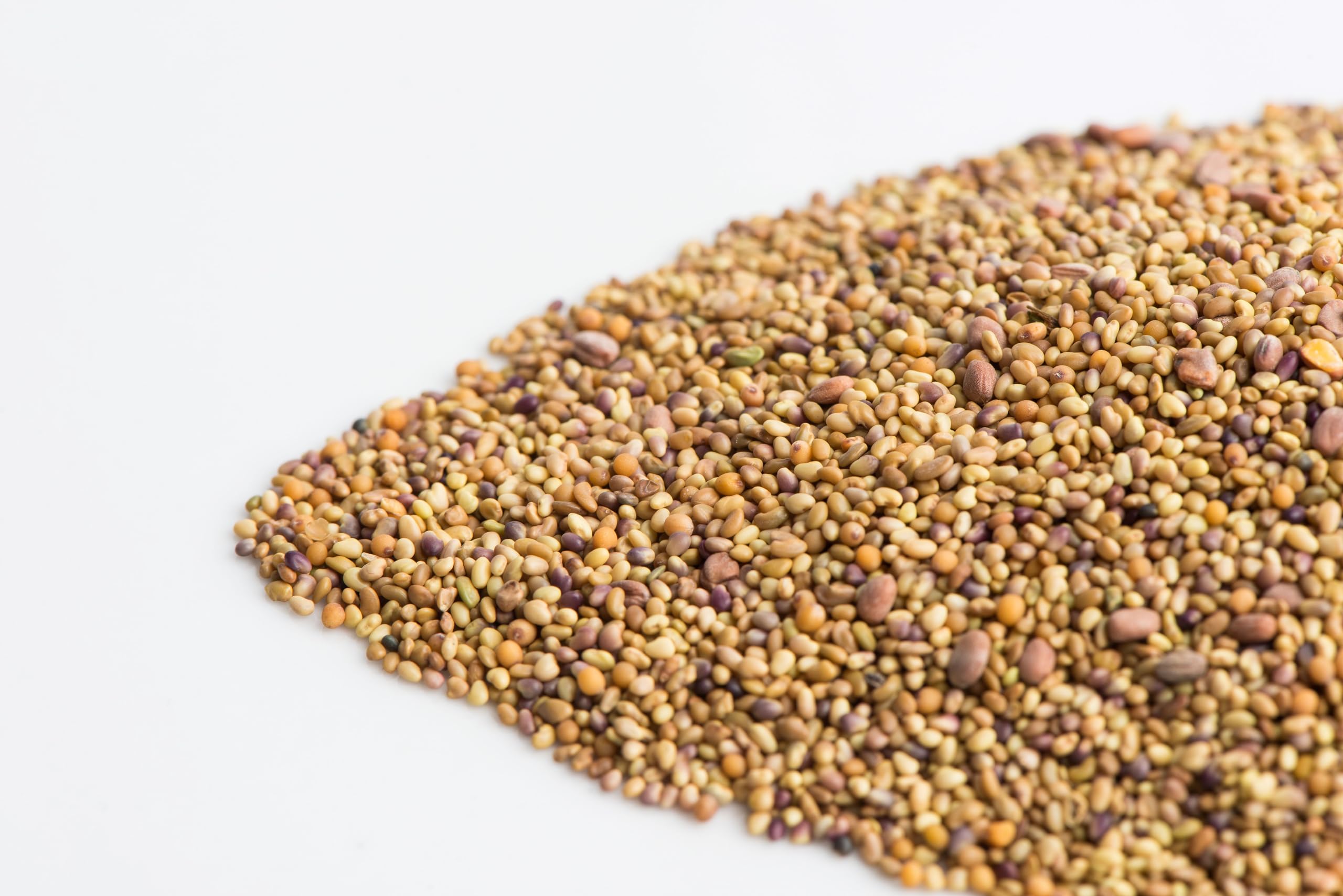 A close-up of Mumm's Sandwich Booster Sprouting Seeds blend, showcasing the mix of clover, alfalfa, radish, and mustard seeds.