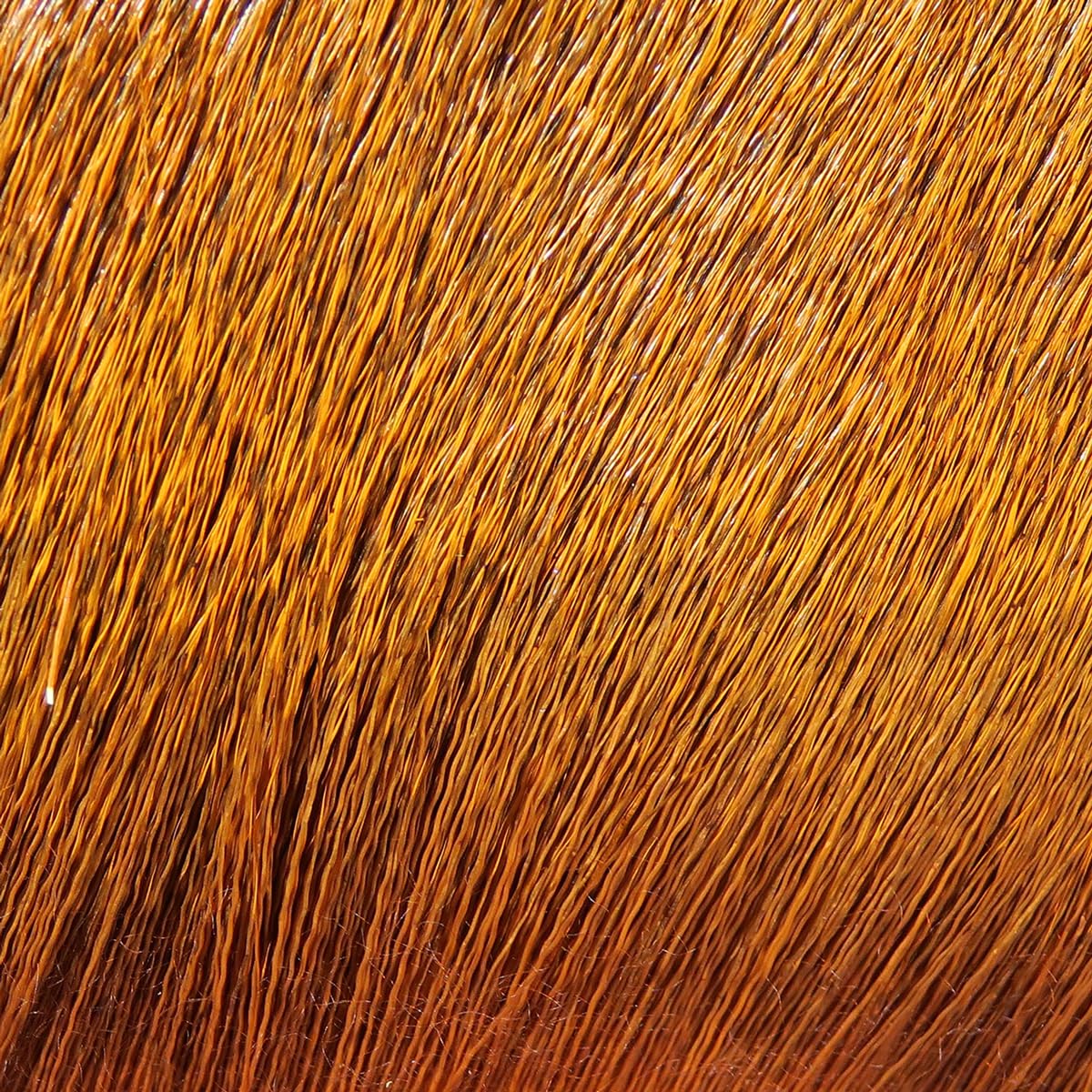 Hareline Deer Body Hair Dyed Over Natural - Rusty Brown