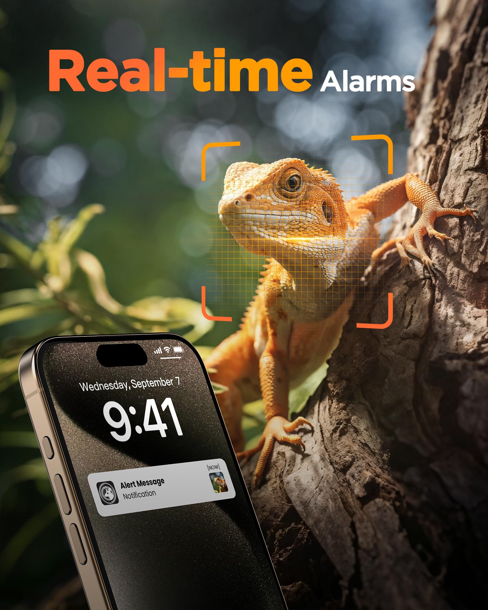 BECAMSO 4G LTE Camara Fototrampeo Solar: 2.7K HD Cámara de Caza Vigilancia Exterior - Color Visión Nocturna Trampa Cámaras con Tarjeta SIM 8000 mAh Batería IP66 Impermeable