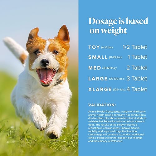 Miniatura 6 de Petandim - Vitaminas para perros (30 tabletas masticables), antioxidantes que reducen el estrés oxidativo, suplemento para articulaciones para