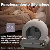 Ver la foto 6