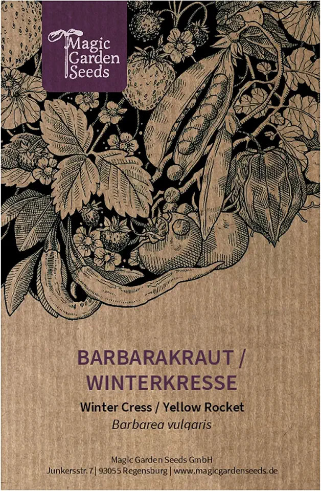 Barbarakraut bei Verdauungsstörungen und Appetitlosigkeit 1 Barbarakraut/Winterkresse (Barbarea vulgaris) - ca. 1000 Samen