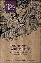 Barbarakraut/Winterkresse (Barbarea vulgaris) - ca. 1000 Samen
