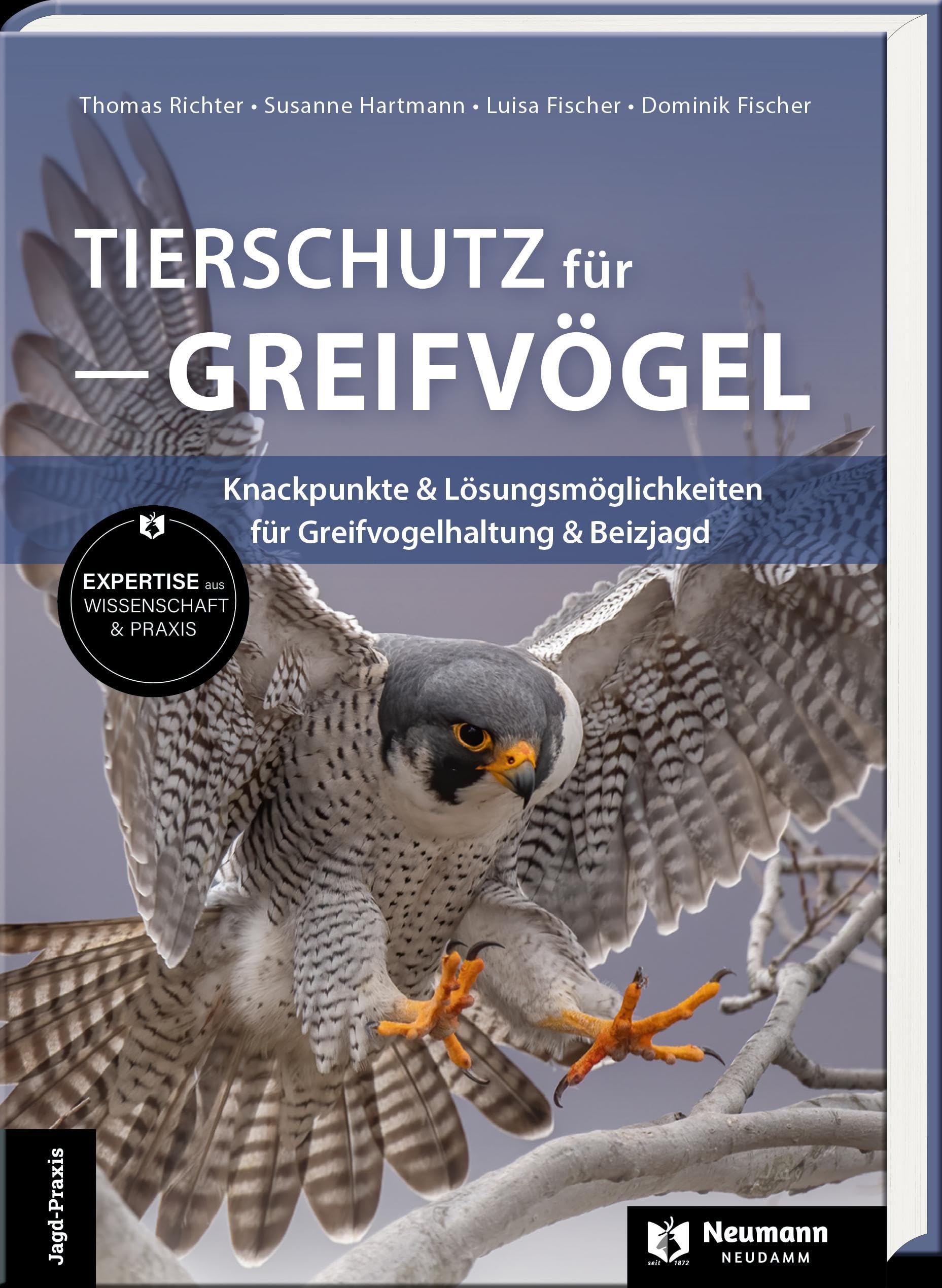 Tierschutz für Greifvögel: Knackpunkte & Lösungsmöglichkeiten für Greifvogelhaltung & Beizjagd