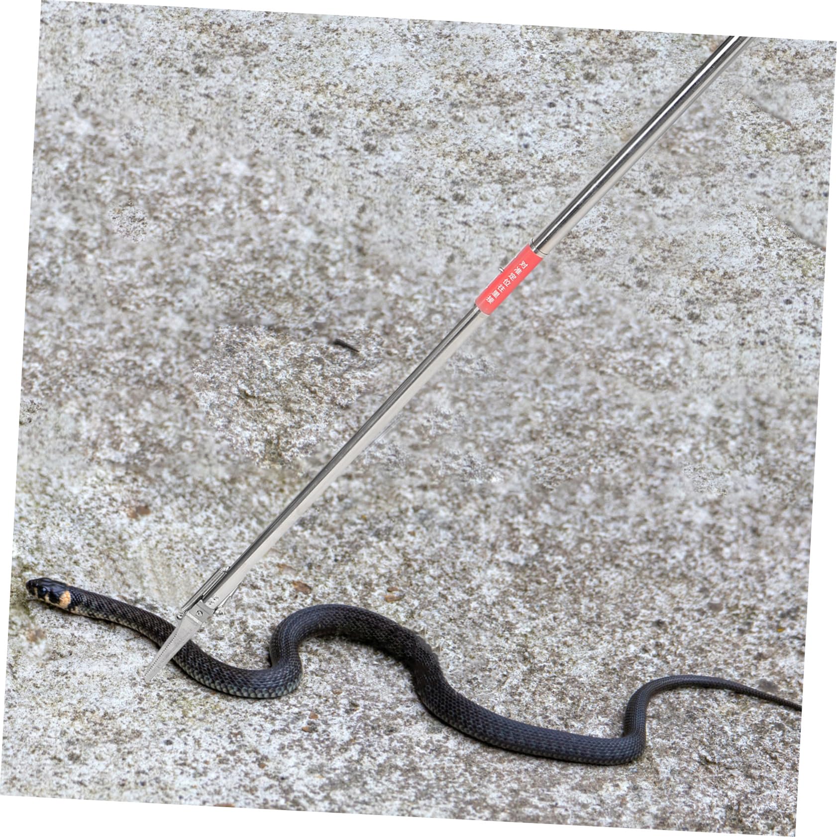 Pinces à Serpents en Acier Inoxydable Antidérapantes, Pliables et Portables, Outil Multifonctionnel pour Jardin et Activités Extérieures