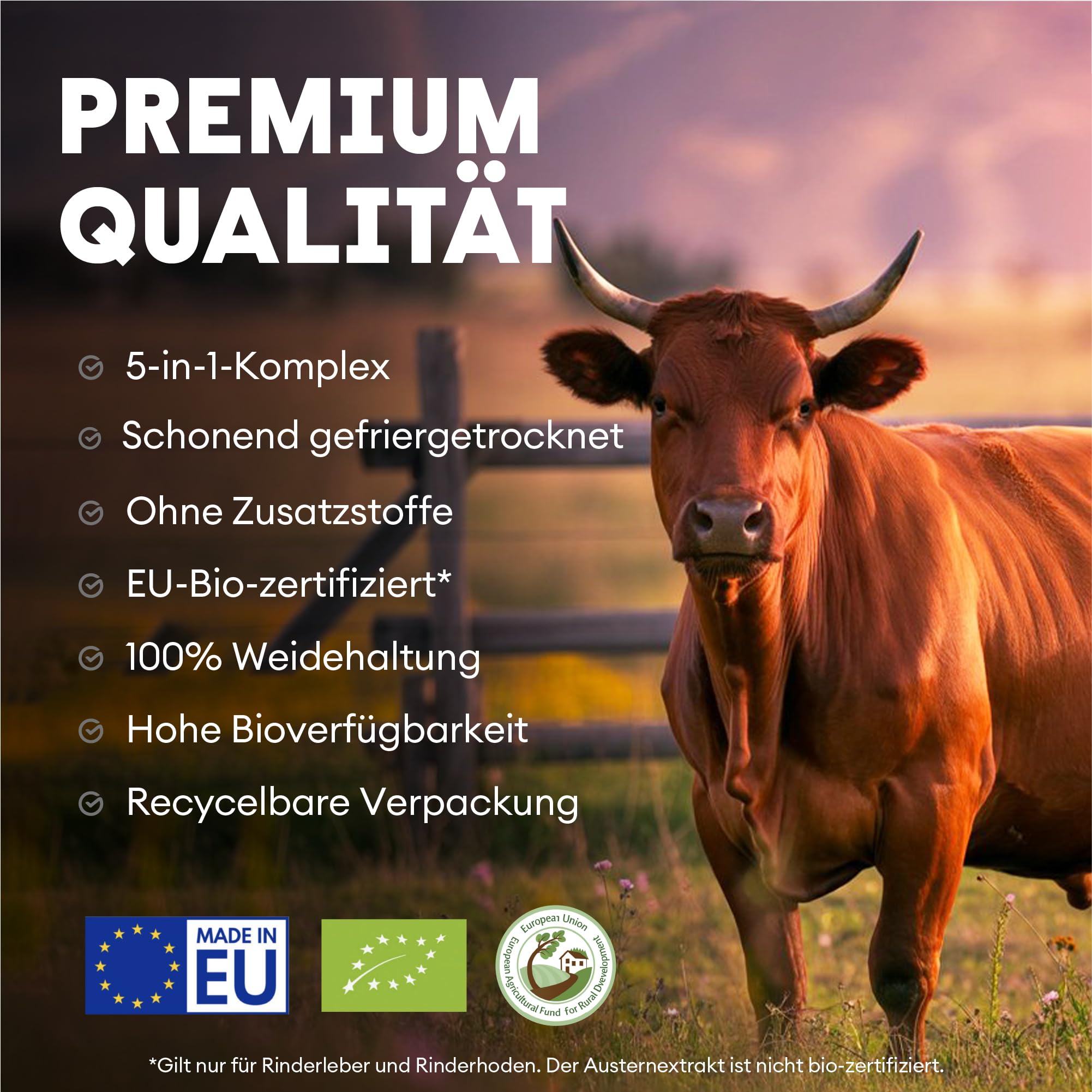 Nutriest Rinderhoden & Austernextrakt Kapseln (240 Stück) – Beef Testicles Supplement | Bio-Weiderind aus Europa | 100% EU-Weidehaltung | Energie, Muskelaufbau & Testosteronspiegel