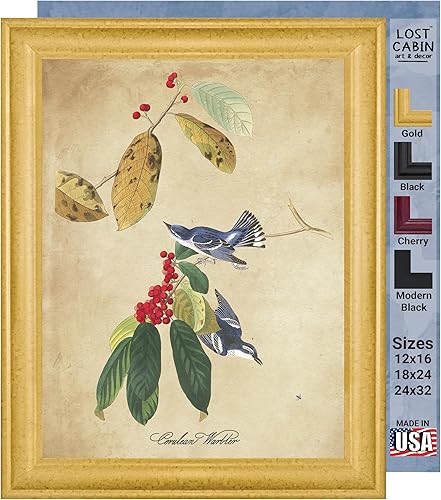 Vista 356 de Towee Bunting by James Audubon - Marco biselado negro de 12 x 16 pulgadas, decoración artística enmarcada para pared, reproducción de pinturas