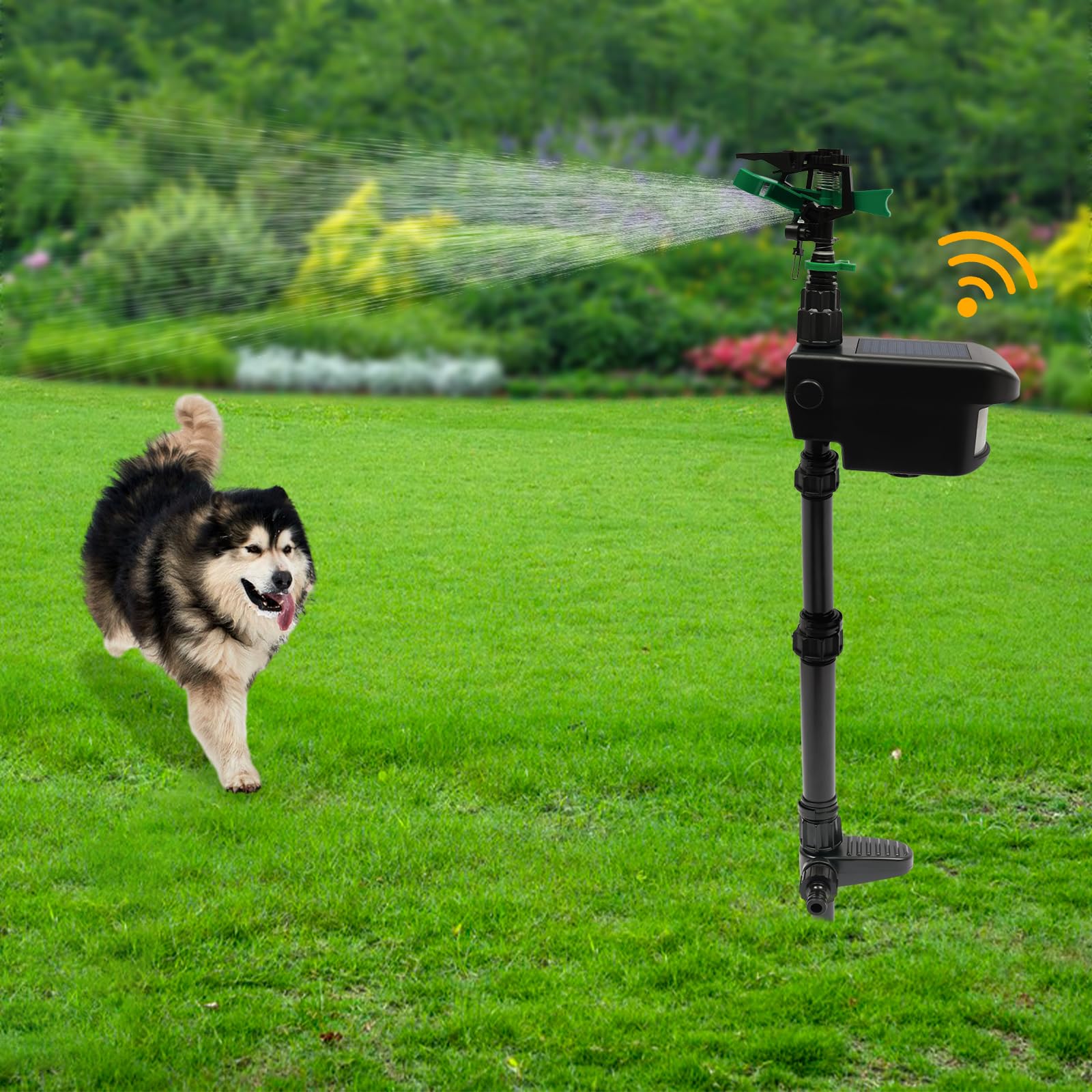 Repellente per animali domestici a energia solare, per giardino, spaventapassi, sensore di movimento a infrarossi, irrigatore attivato in movimento, portata fino a 10 m