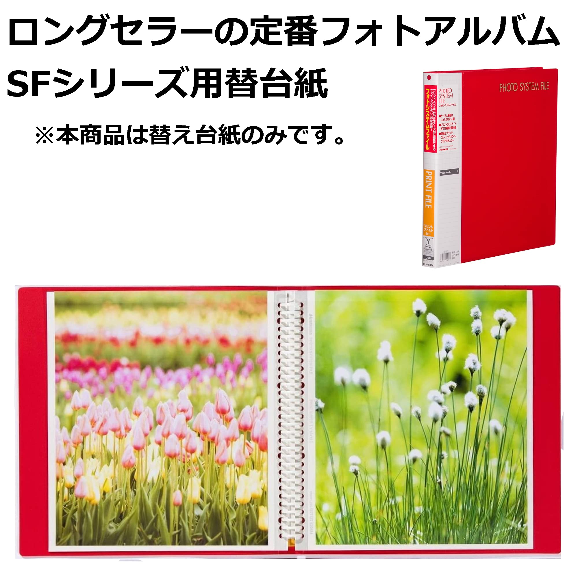 Amazon | ハクバ HAKUBA フォトシステムファイル SF-1替台紙 4切