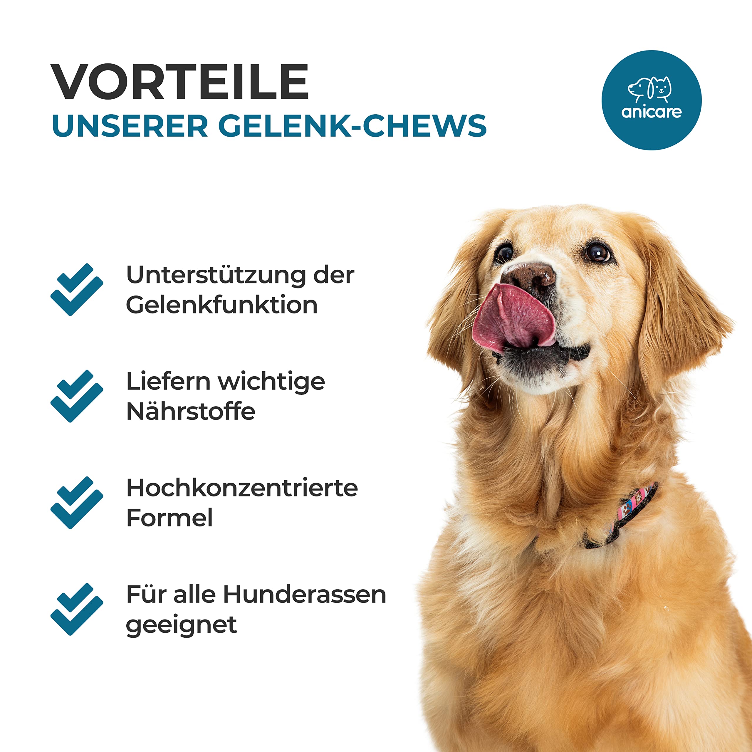 Anicare Premium Joint Care - Hochkonzentrierte Chews für Hunde, die Gelenktabletten ablehnen! Mit Glucosamin, Chondroitin, MSM und Grünlippmuschel
