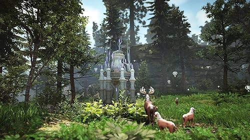 Miniatura 13 de Black Desert Prestige Edition - Xbox One