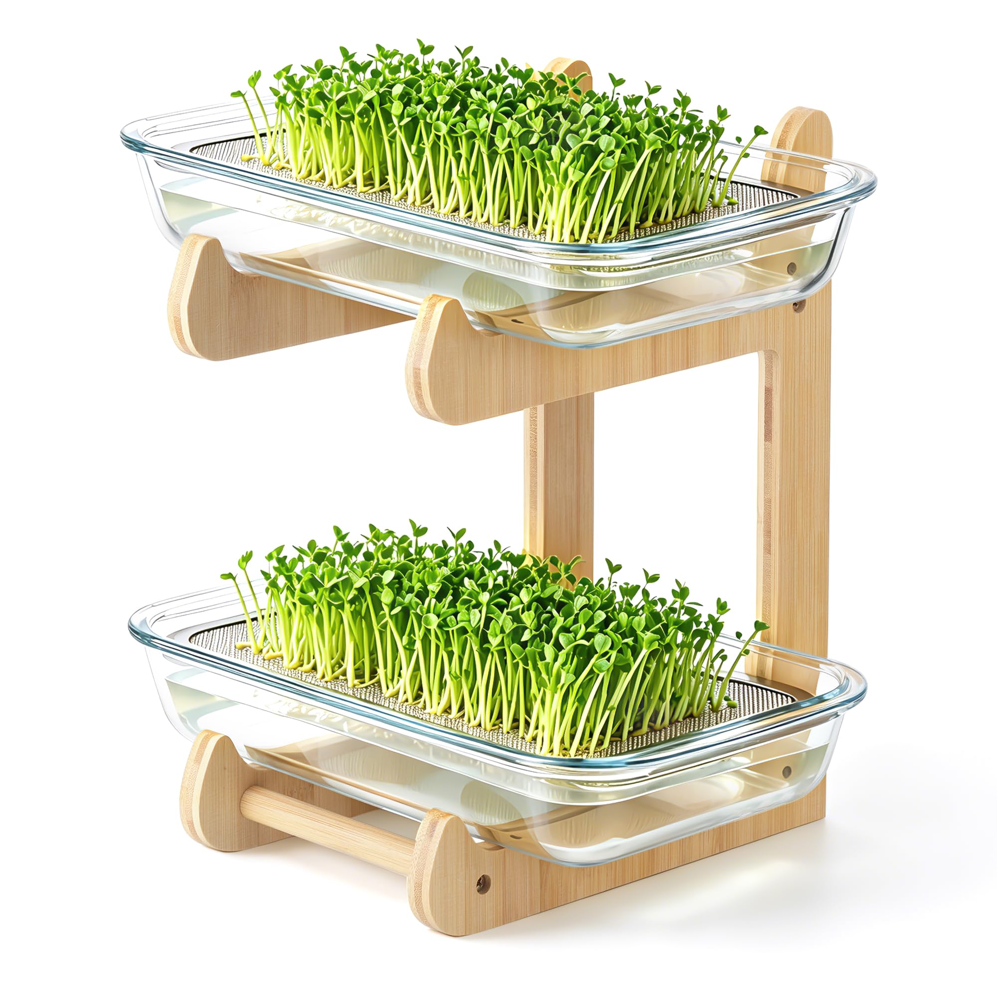 Sprossen Anzuchtset, 2 Böden Microgreens Anzuchtset mit 2 Glas Kresse Anzuchtschalen und Bambusständer, Microgreens Starter Set für Kressesamen, Sprossen, Brunnenkresse