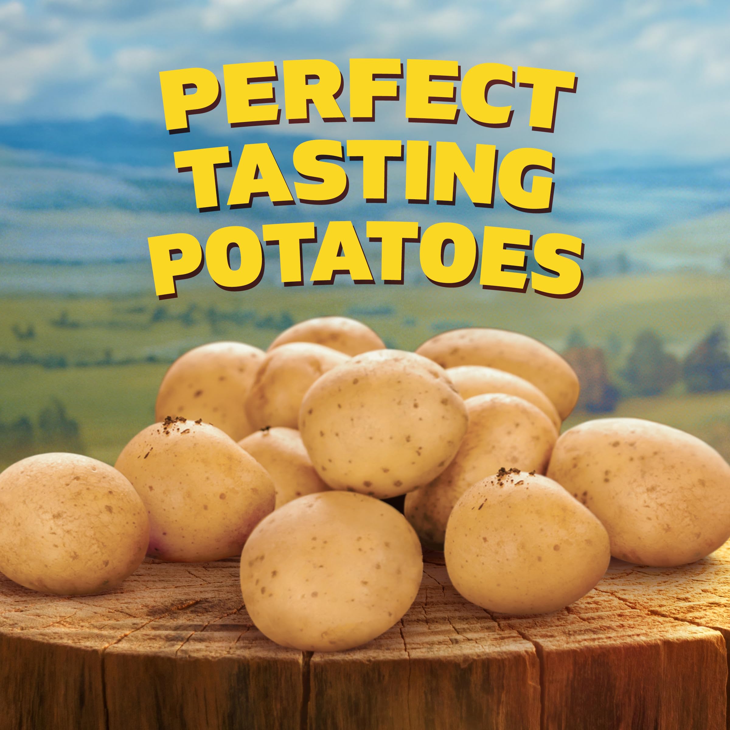 Ore-Ida Extra Crispy Fast Food French Fries French Fried Potatoes 26 oz Bag — view 7