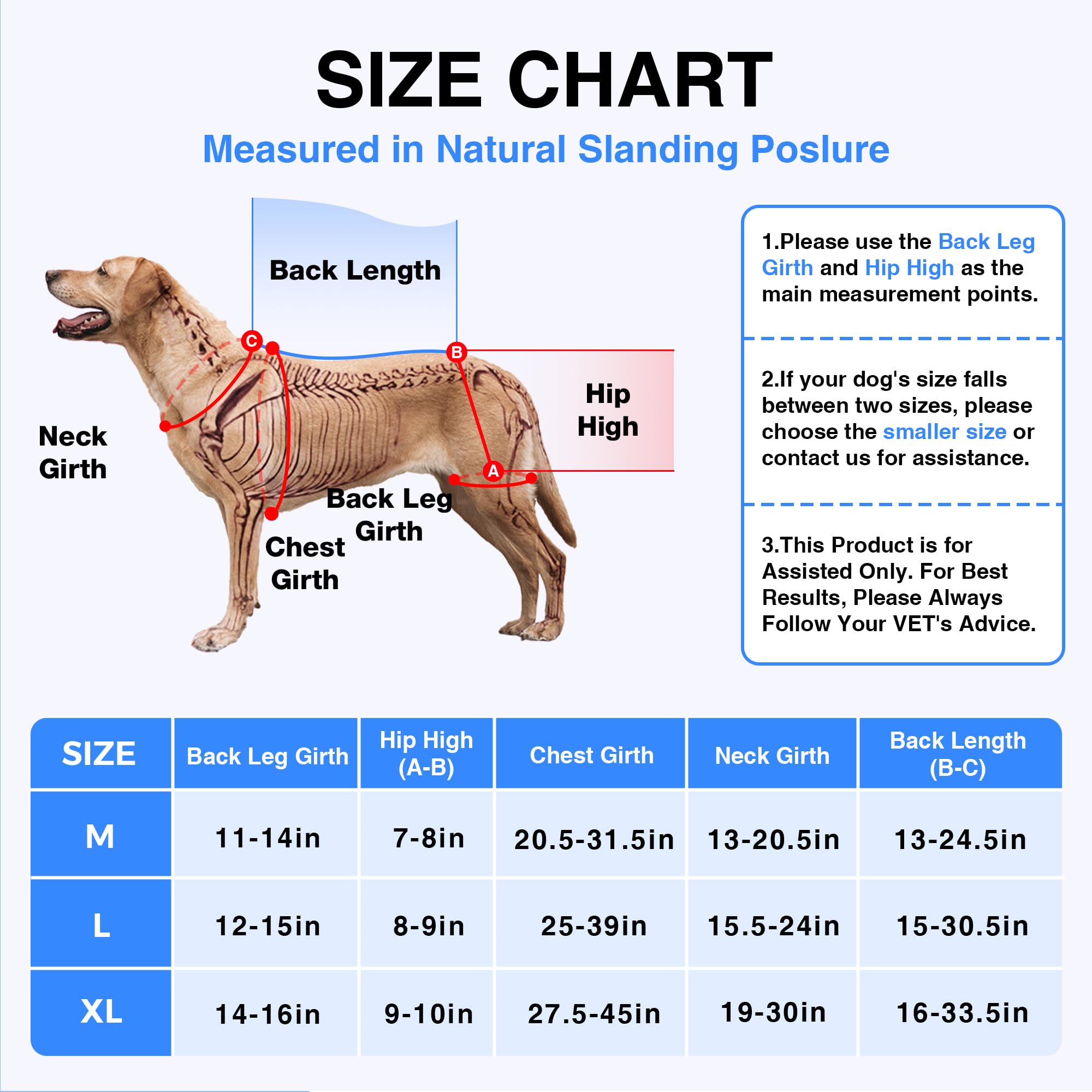 Soporte para displasia de cadera para perros con compresa caliente/fría, soporte de cadera transpirable y cómodo para ligamento cruzado anterior, artritis y movilidad posterior a la