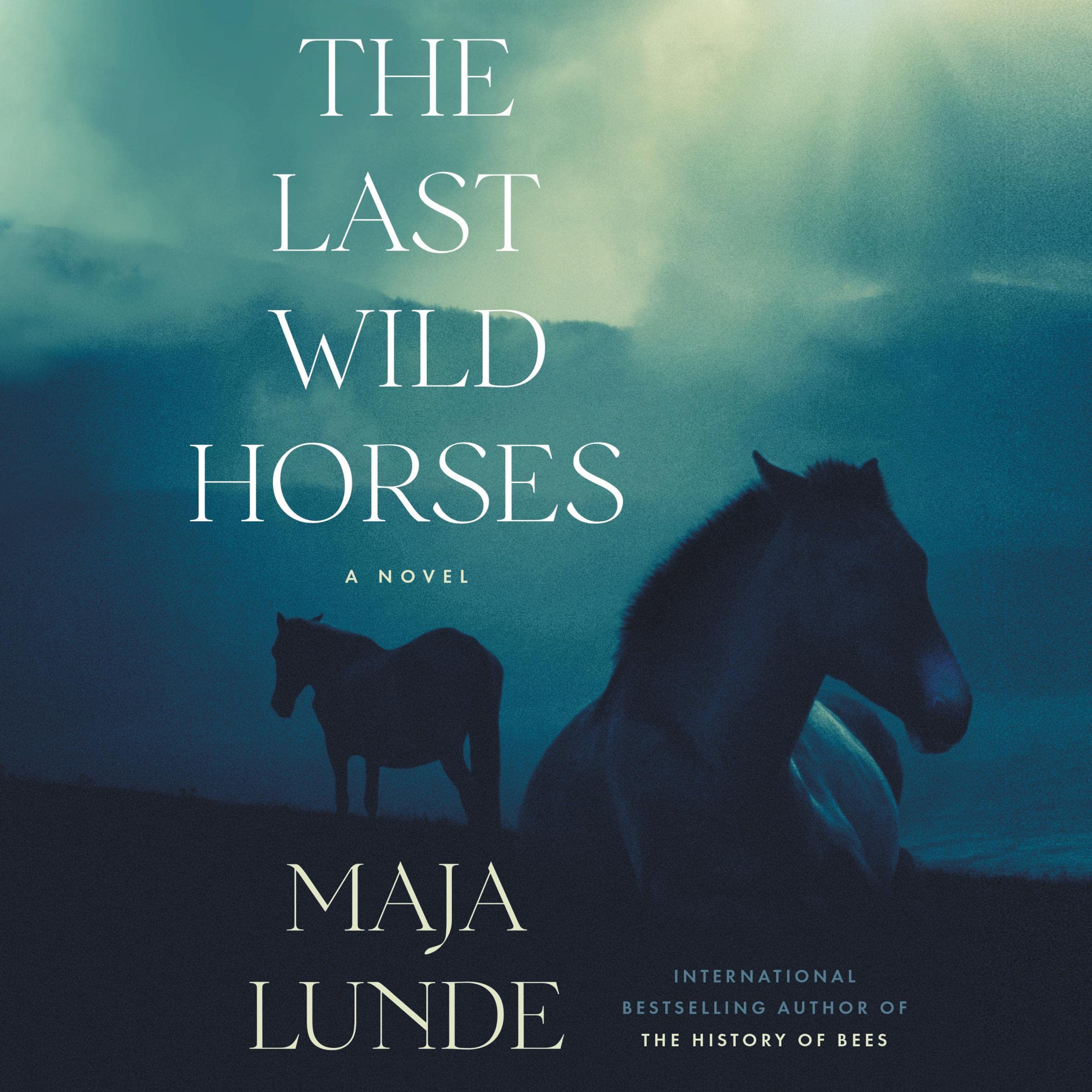 Cover art for The Last Wild Horses