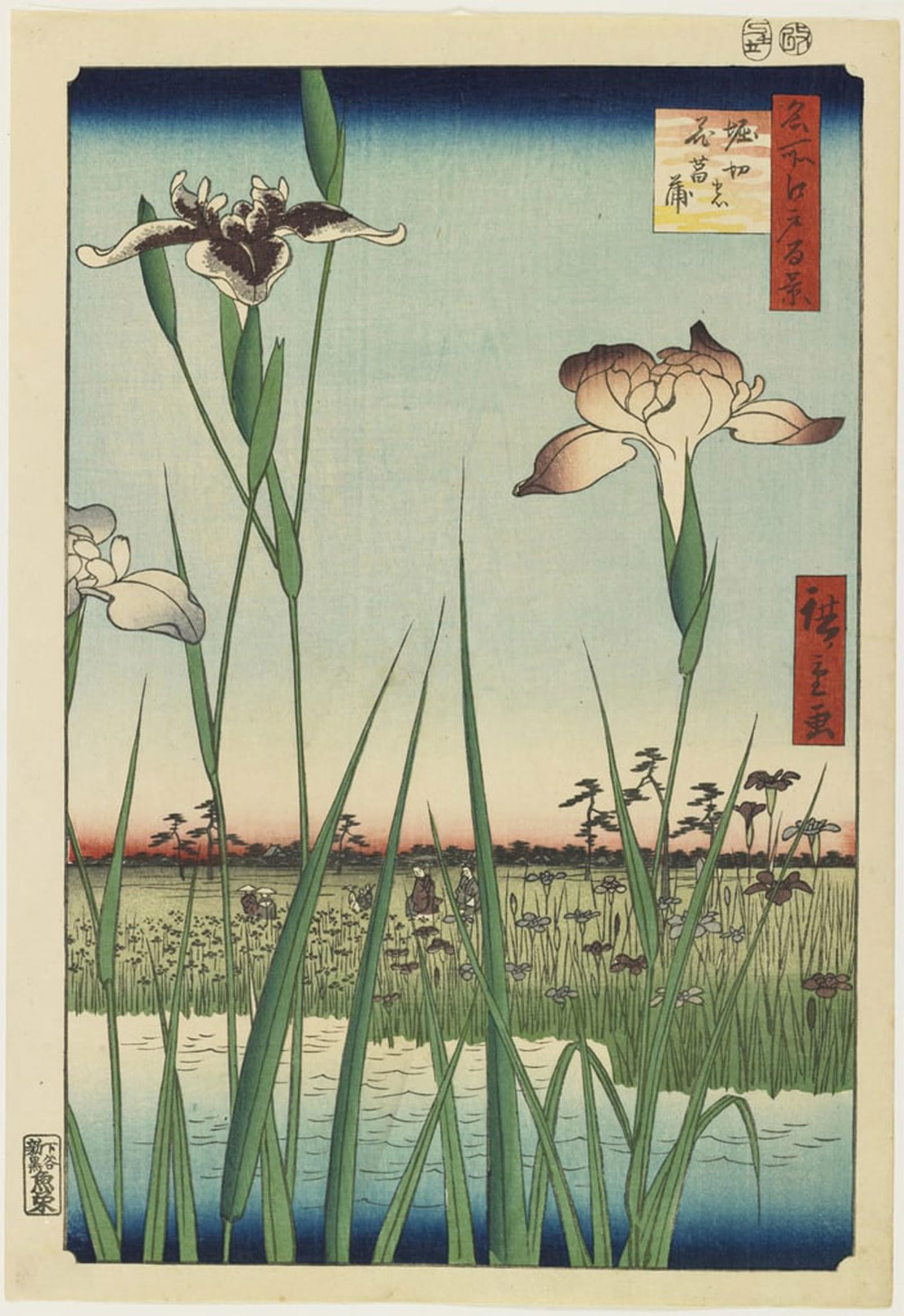 Jardin d'iris à Horikiri affiche art décorative de prestige - 5