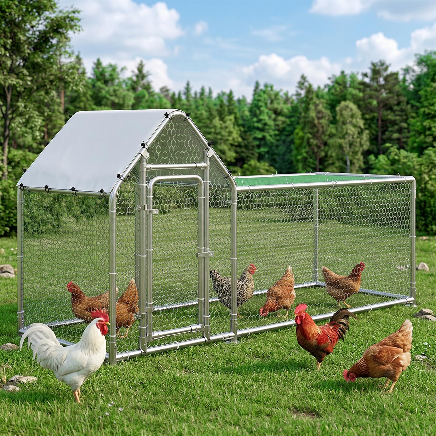 BOSSIN Bold Metal Chicken Coop