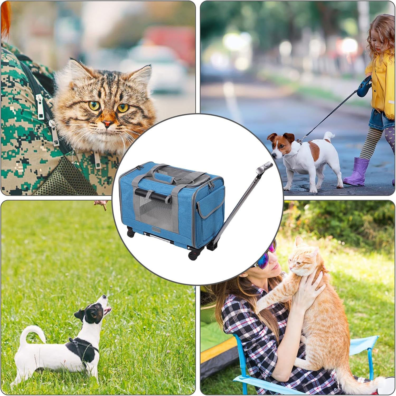 Dog Carrier with Wheels, Pet Carrier for Small Cats Dogs, Cat Wheel, Pet Carrier Travel Bag with Safety Zippers, Soft Rolling Cat Carrier, Airline Approved Pet Carrier (C)
