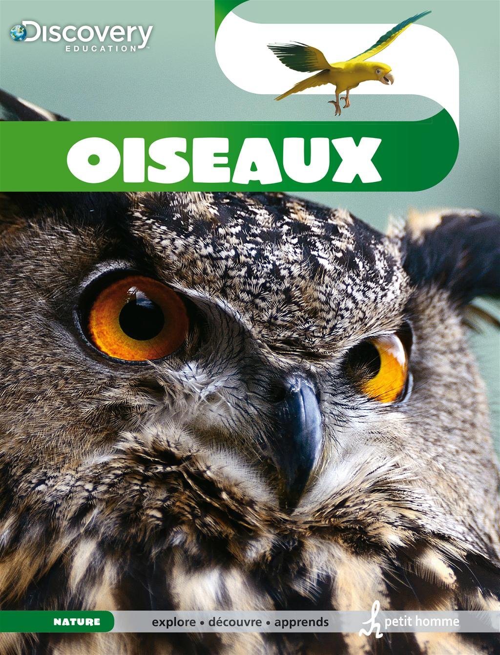 Oiseaux McFadzean, Lesley