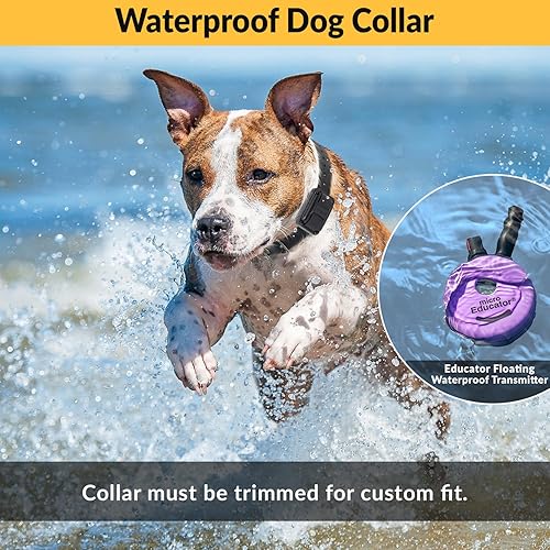 Miniatura 5 de Educator E-Collar - Collar de entrenamiento para perros con control remoto, 100 niveles de estimulación de golpeteo seguro, luz nocturna,