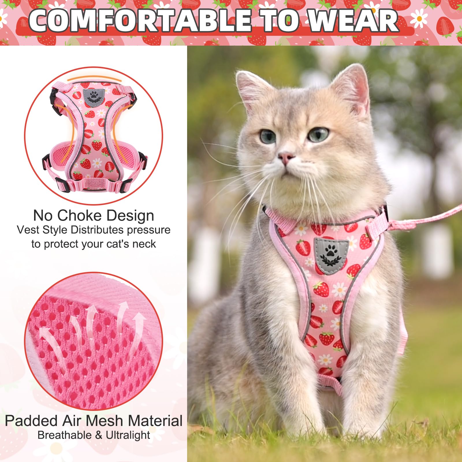 Snapklik.com : Cat Harness And Leash Set, Escape Proof For Safe Walking ...