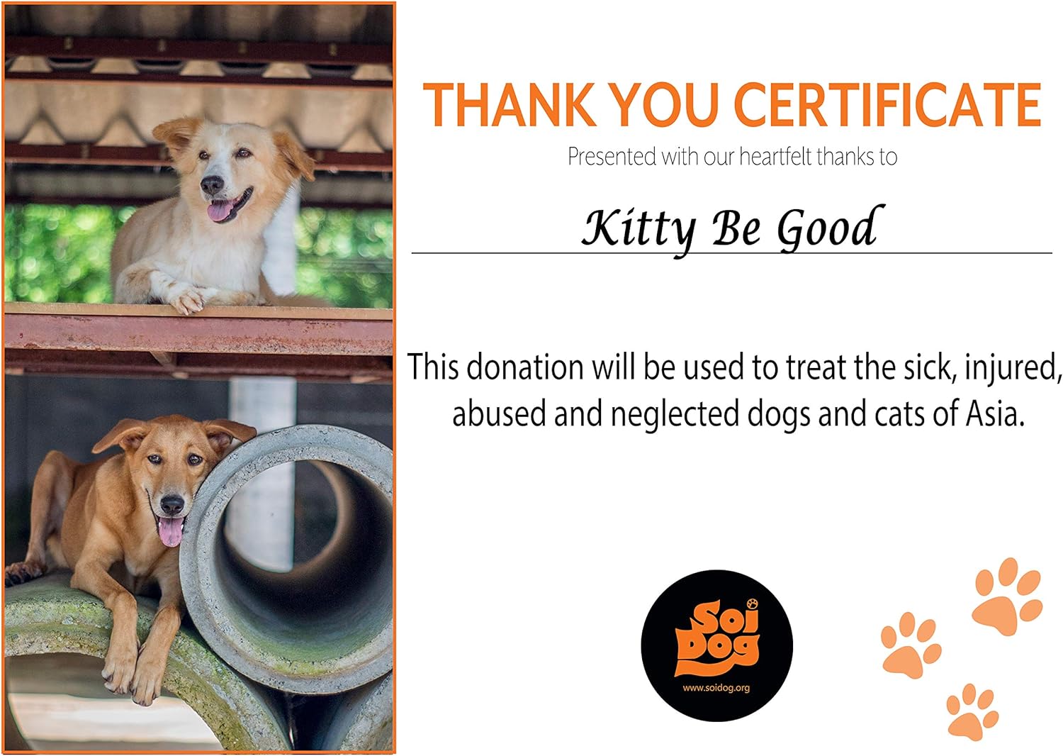 stop cat scratching wallpaper