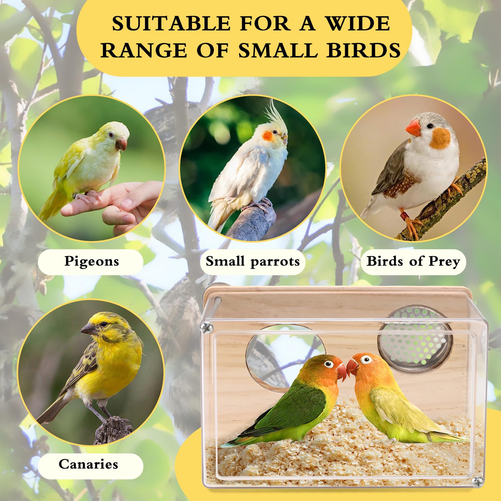 Nichoir pour cage à perruches en PET hautement transparent - Nichoir polyvalent pour canaris, inséparables et perroquets - Avec perchoir en bois - Accessoires de cage à oiseaux (taille S)