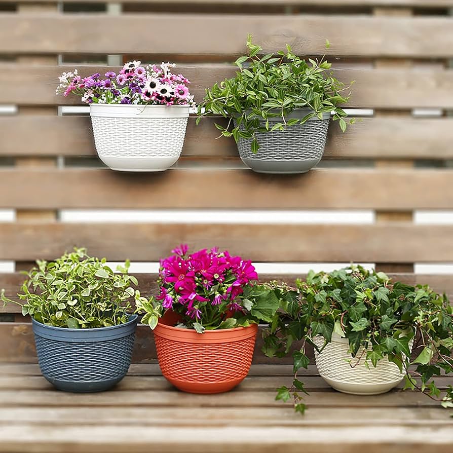 壁掛け 鉢 81nf8X6Dp5L._AC_UF894,