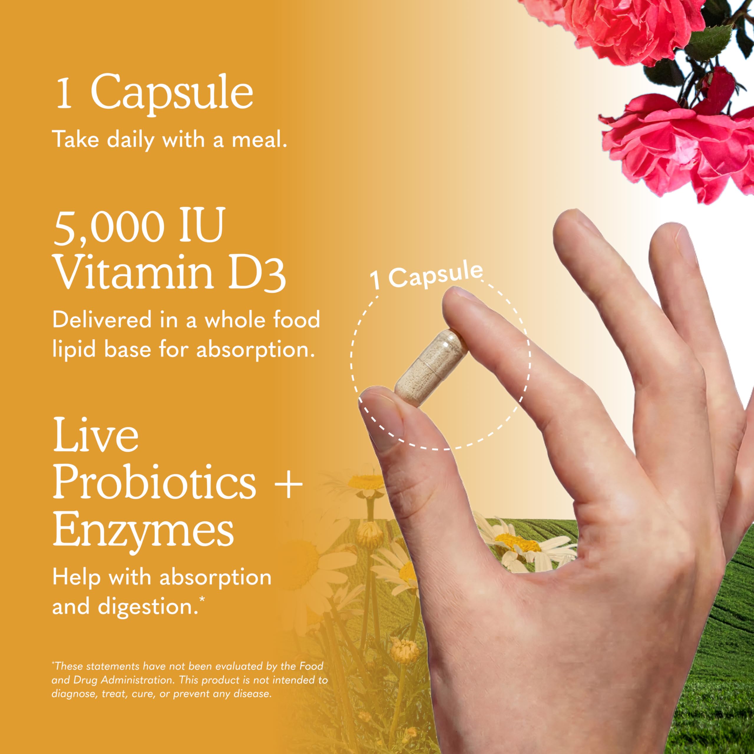 Garden of Life Vitamin Code Raw D3 5000 IU, 60 Vegetarian Capsules — Amazon image 5