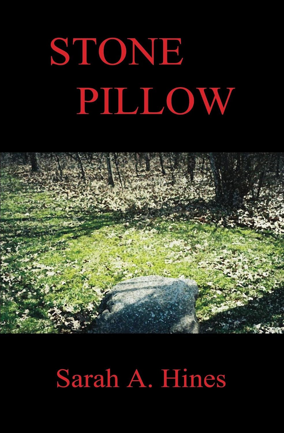 Stone Pillow - Kindle edition by Hines, Sarah A.. Literature & Fiction ...