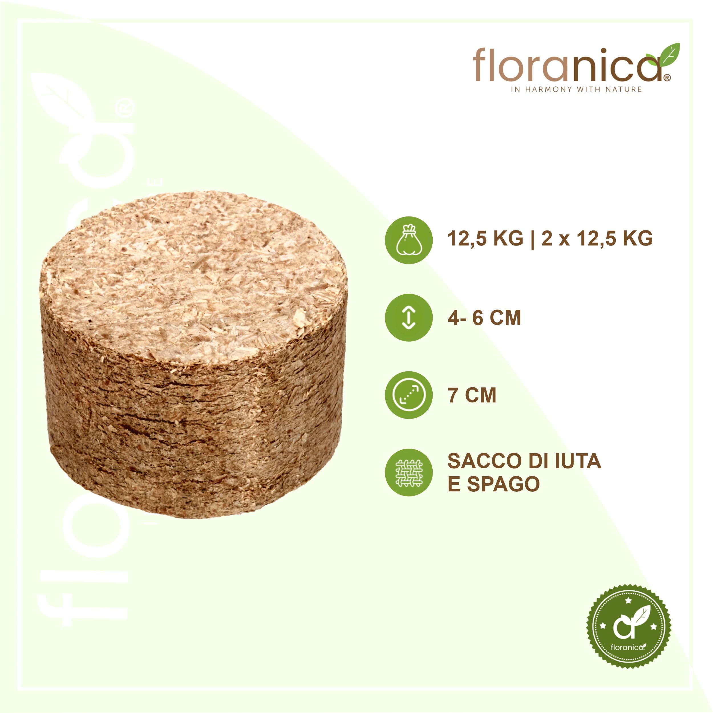 Floranica Bricchetti legno pressato 100% 2 x 12,5 kg Pellet per stufa Bricchetti Ideali per Caminetto Stufa Legnetti accendifuoco Legna da ardere Alto Potere Calorifico Basso Fumo