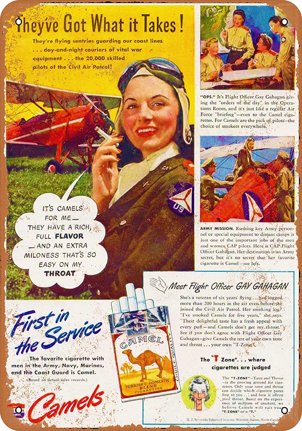 Amazon.com: Female Pilot for Camel Cigarettes Vintage Look Funny Metal Art  Wall Sign Aluminum Sign Decor for Home Garage 8 x 12 : Hogar y Cocina