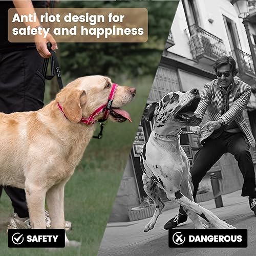 Miniatura 21 de ANDA Gentle Leader - Collar para cabeza de perro ultraligero sin tirones, correa de bozal ajustable transpirable que evita tirones y zancadas, Negro