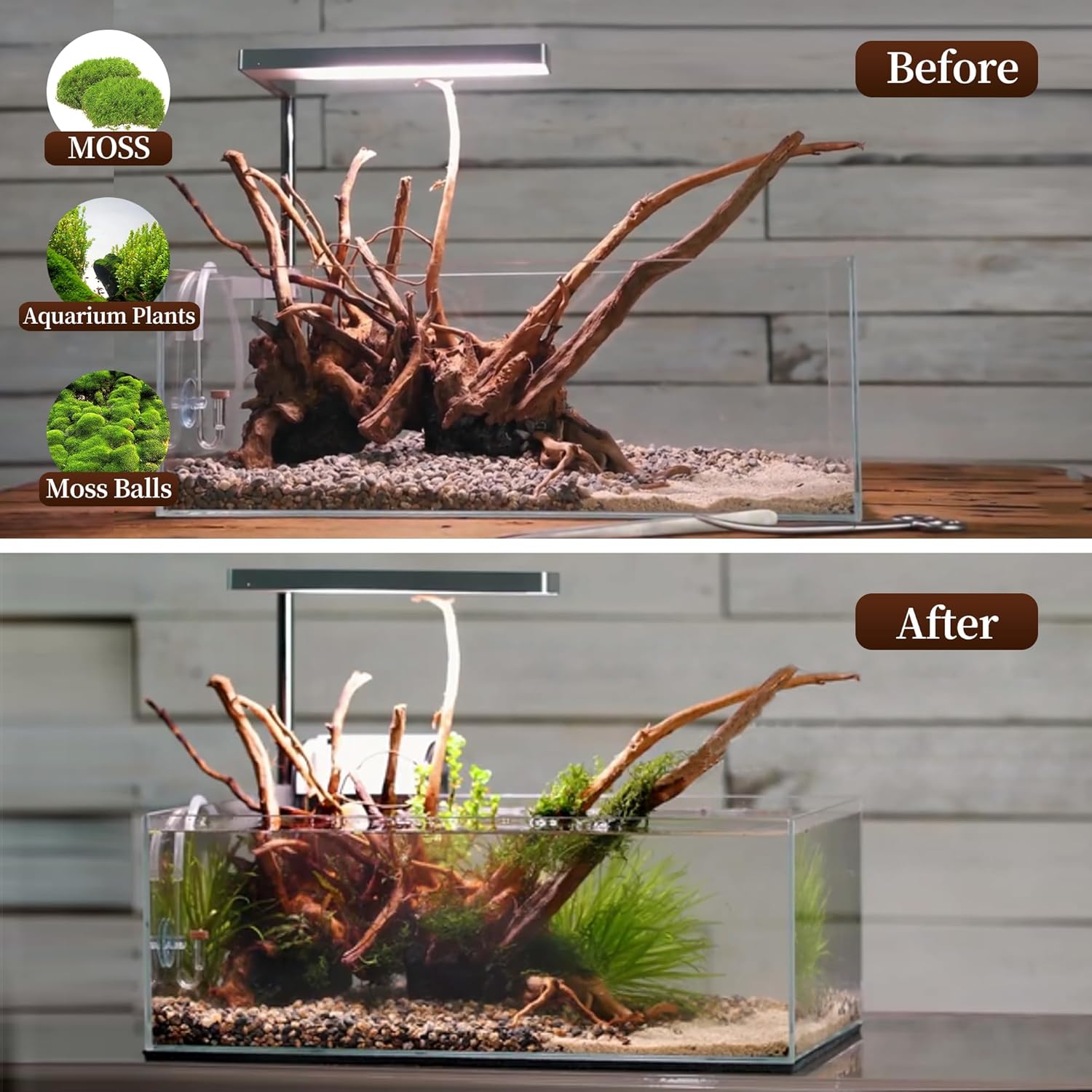 majoywoo Natural Large Driftwood for Aquarium Decor Reptile Decor, Assorted Spider Wood Branch 13-17 Long, Fish Tank Decoration