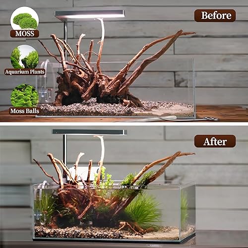 Vista 25 de majoywoo Madera flotante de coral natural para decoración de acuario, decoración de peceras, ramas de madera flotante surtidas de 6 a 10 pulgadas, 3