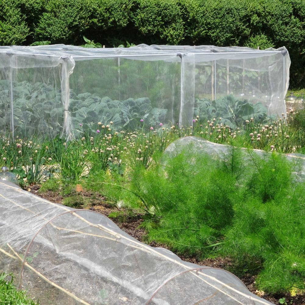 EraGreen Abdeckvlies 19g/m² - 3,2m x 40m - Frostschutzvlies für Pflanzen, atmungsaktiver Wachstumsvlies, Frühbeetvlies, Gartenvlies zur Abdeckung von Gemüsebeeten