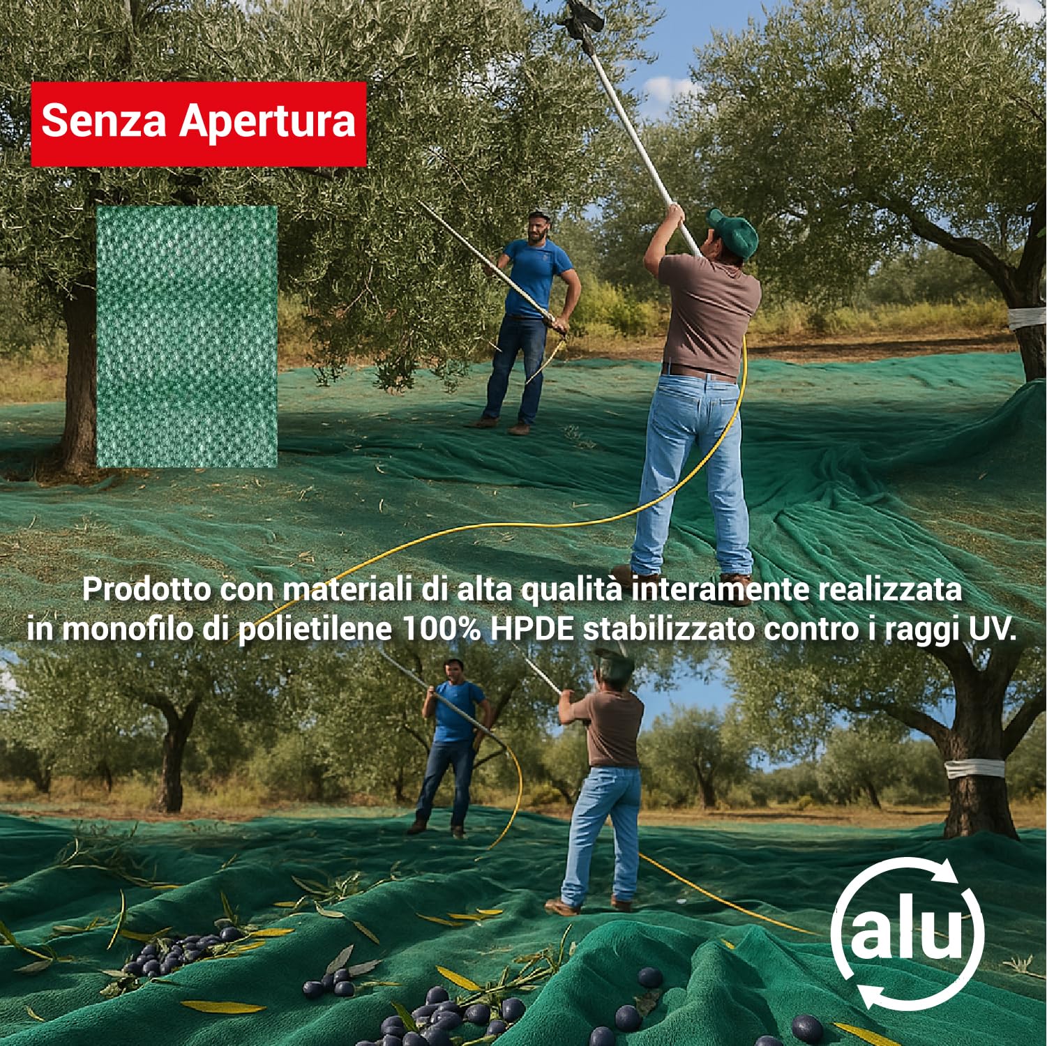 Crisalide® Telo Raccolta Olive Antispine 90 gr/m² Senza Apertura con Occhielli Rinforzati – Disponibile in 13 Misure (da 3x6m a 12x14m) (6 * 8m)